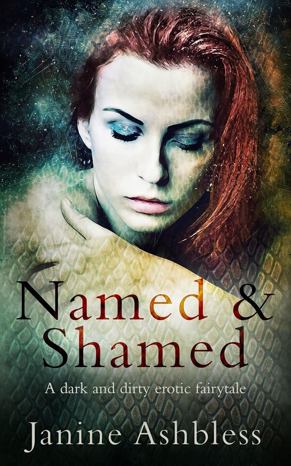Named and Shamed 2nd edition cover