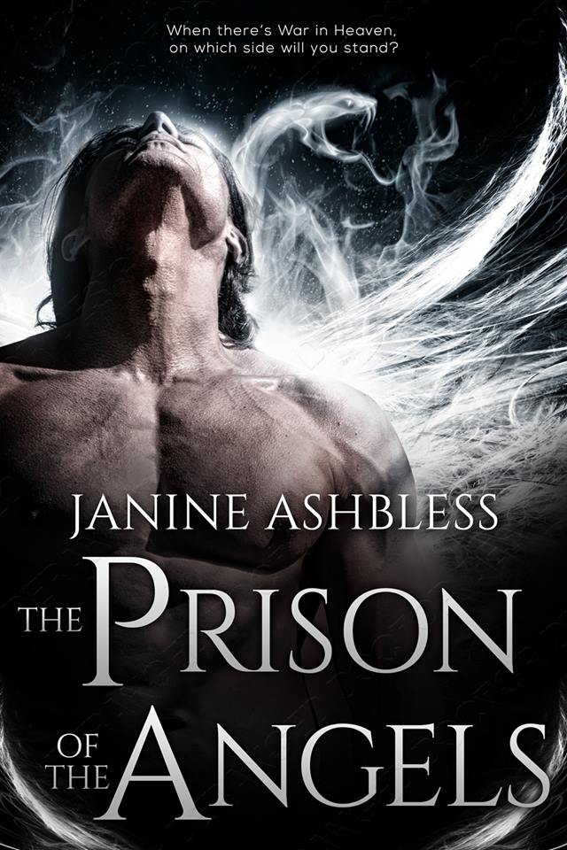 The Prison of the Angels cover